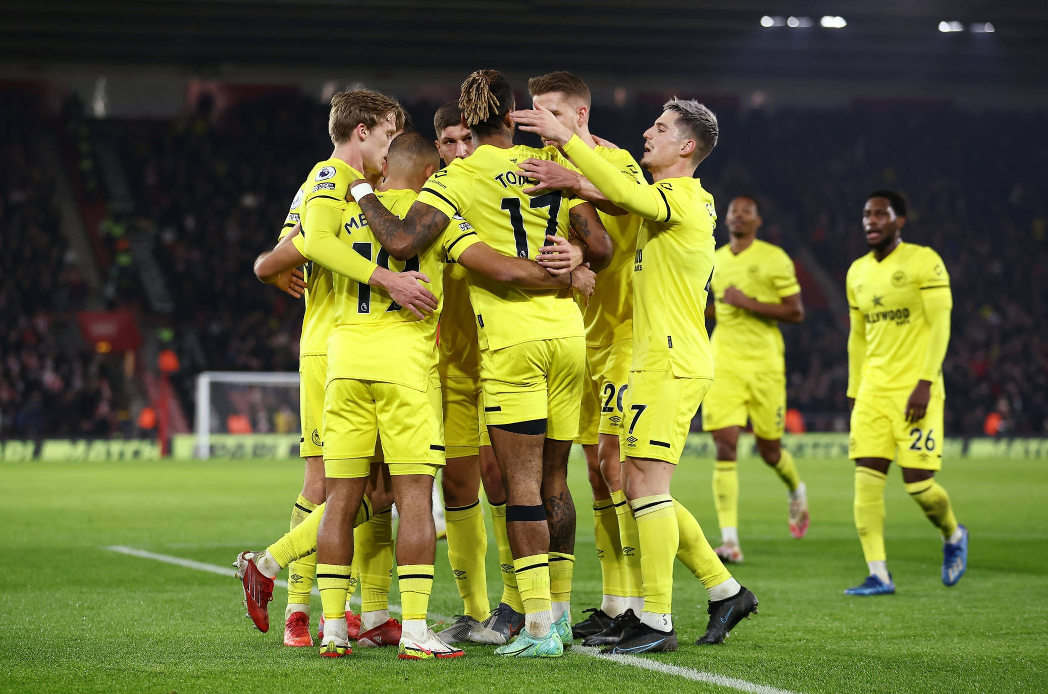 的比分不仅 的比分不仅