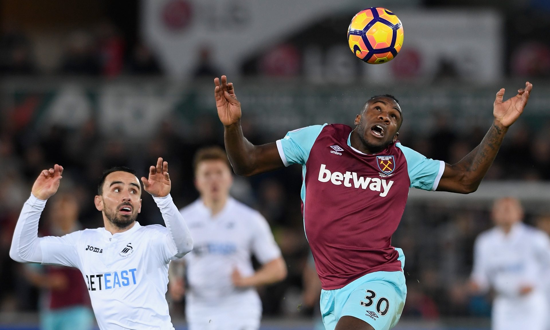 领衔的黄金 领衔的黄金